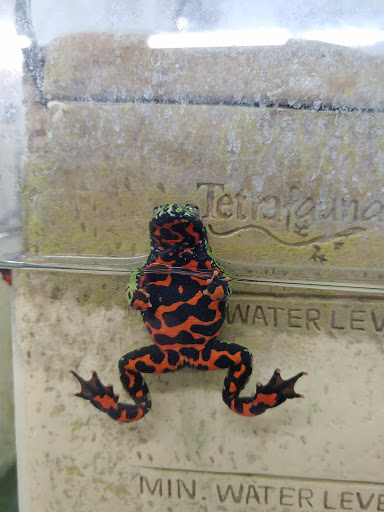 Reptile Store «La Habra Pets», reviews and photos, 1919 W La Habra Blvd, La Habra, CA 90631, USA