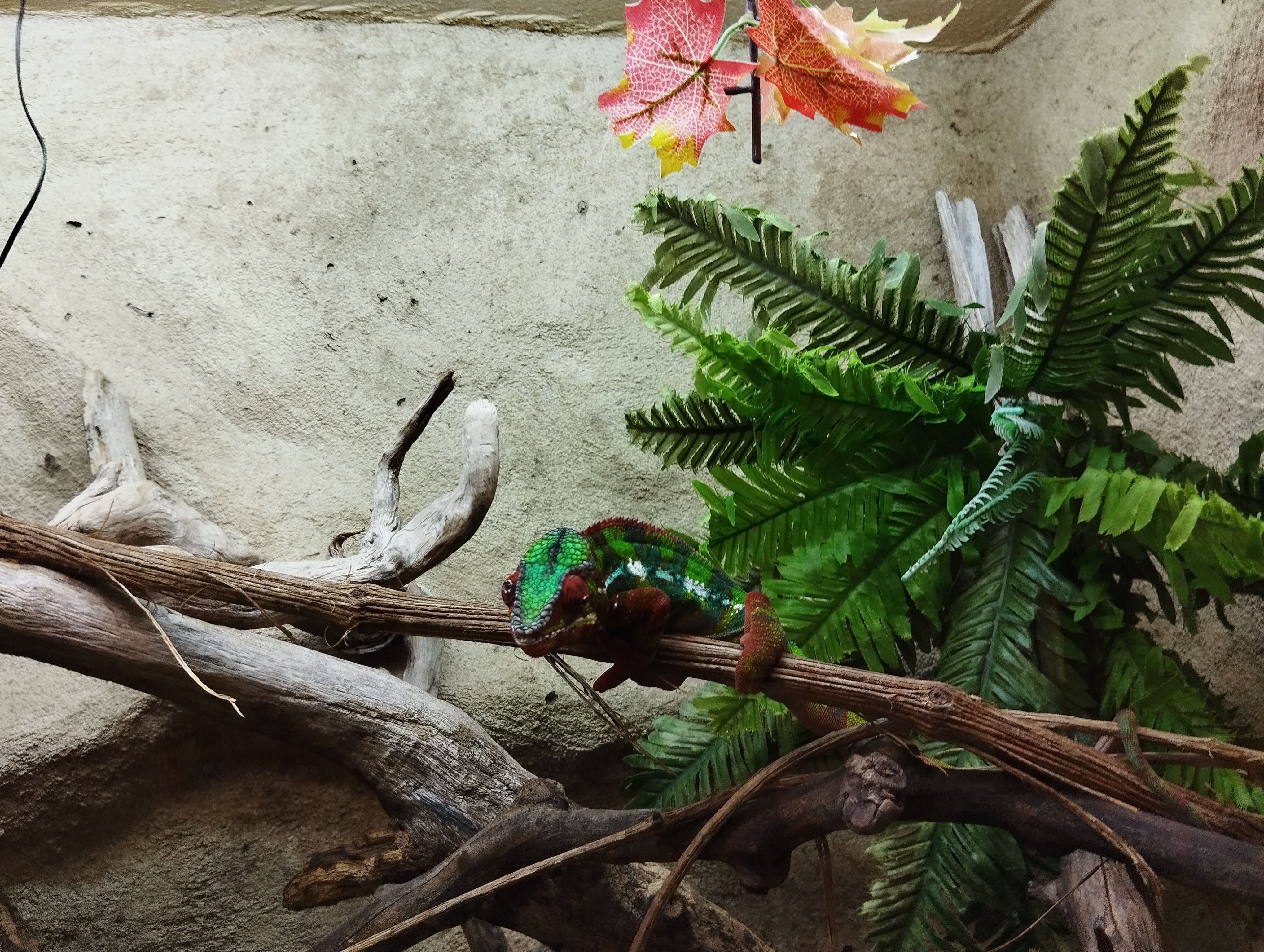 Photo n° 11 de l'avis de Seb.e fait le 17/07/2023 à 19:09