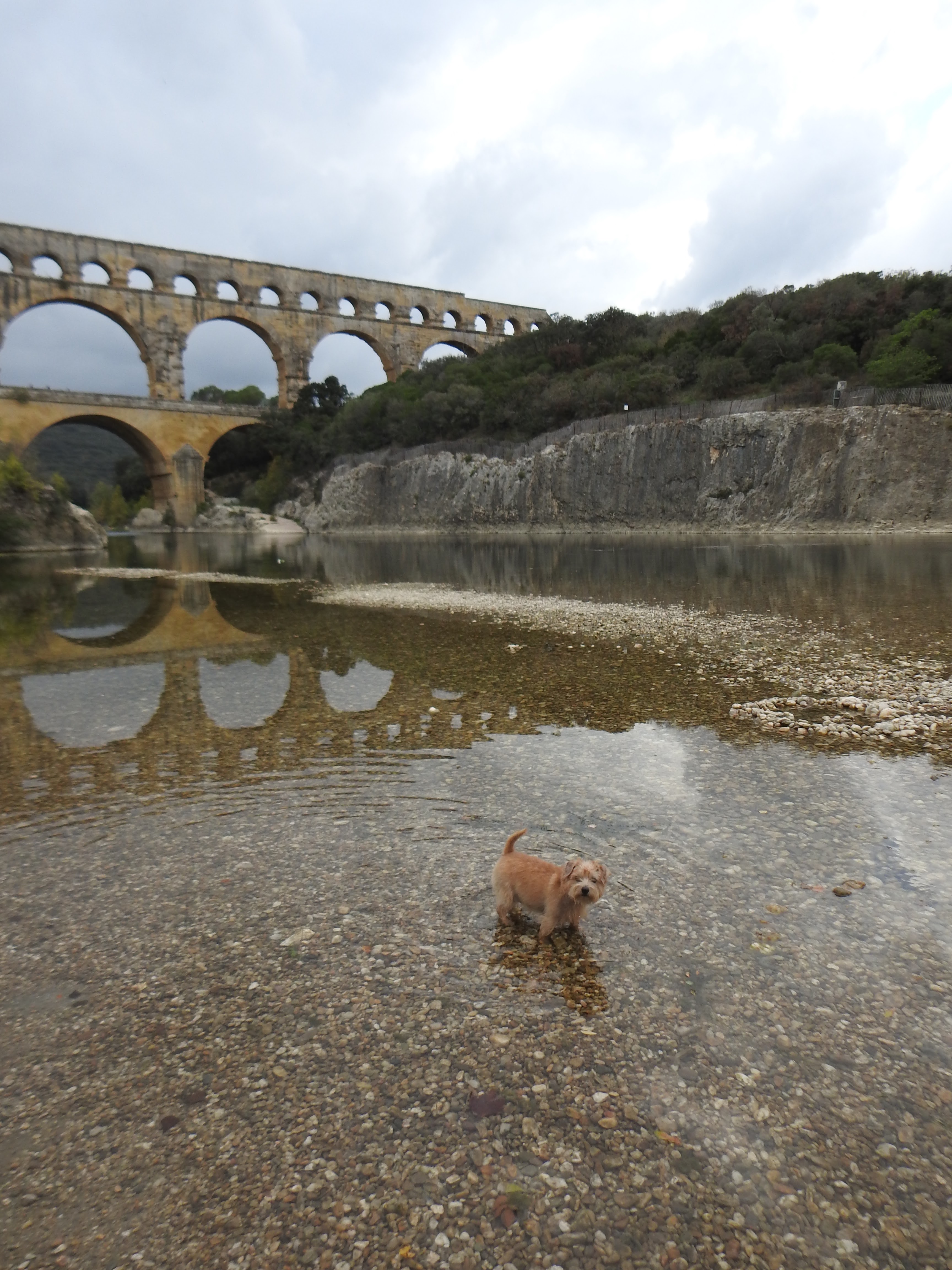 Photo n° 30 de l'avis de gerd.a fait le 11/11/2022 à 11:12