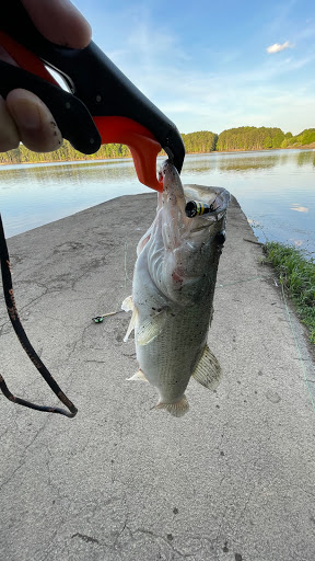 Outdoor Sports Store «Great Outdoor Provision Co.», reviews and photos, 1800 E Franklin St, Chapel Hill, NC 27514, USA