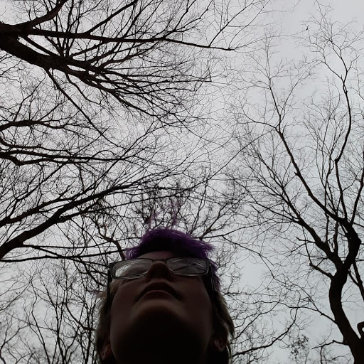 Nature Preserve «Oak Grove Nature Center», reviews and photos, 269 Oak Grove St, Manchester, CT 06040, USA