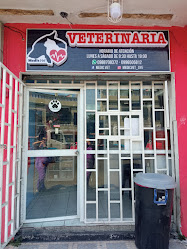 Consultorio veterinario Medicvet