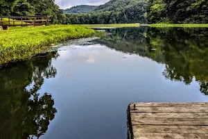 Pine Lake Swimming Beach image