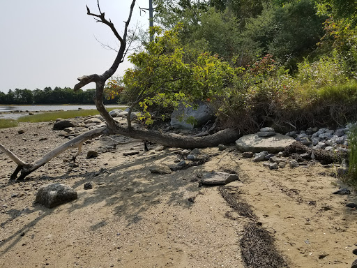 Nature Preserve «Littlejohn Island Preserve», reviews and photos, Pemasong Ln, Yarmouth, ME 04096, USA