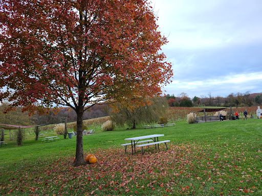 Winery «Pearmund Cellars», reviews and photos, 6190 Georgetown Rd, Broad Run, VA 20137, USA