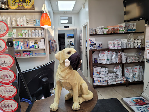 Upper Bathurst Animal Clinic image