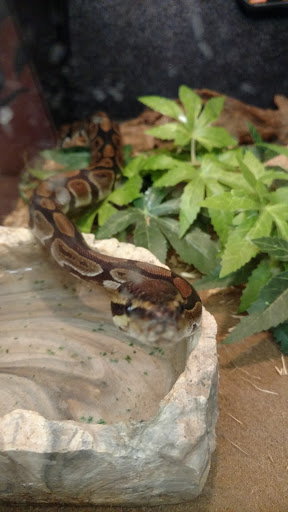 Pet Supply Store «Pet Supplies Plus», reviews and photos, 4332 Kent Rd, Stow, OH 44224, USA