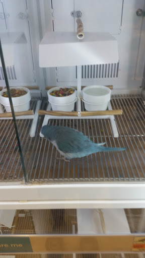 Pet Supply Store «Petco Animal Supplies», reviews and photos, 163 Highland Ave, Needham, MA 02494, USA