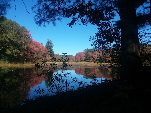 State Park «Lowell-Dracut-Tyngsborough State Forest», reviews and photos, Trotting Park Rd, Dracut, MA 01826, USA
