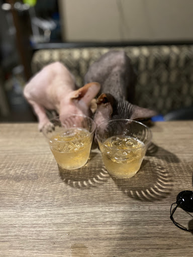 Winery «Pheasant Ridge Winery», reviews and photos, 3507 E County Road 5700, Lubbock, TX 79403, USA