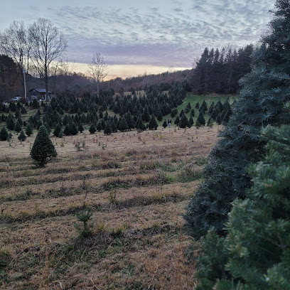 Woffords Christmas Tree Farm