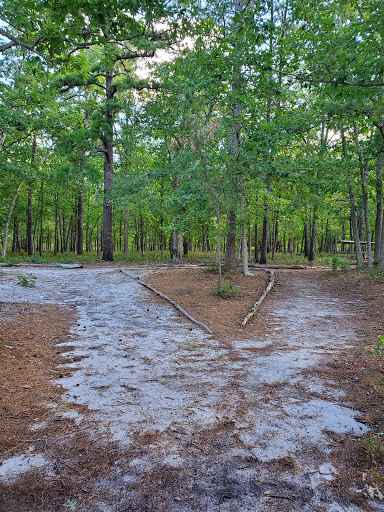 Community Park «Cloverdale Farm County Park», reviews and photos, 34 Cloverdale Rd, Barnegat, NJ 08005, USA