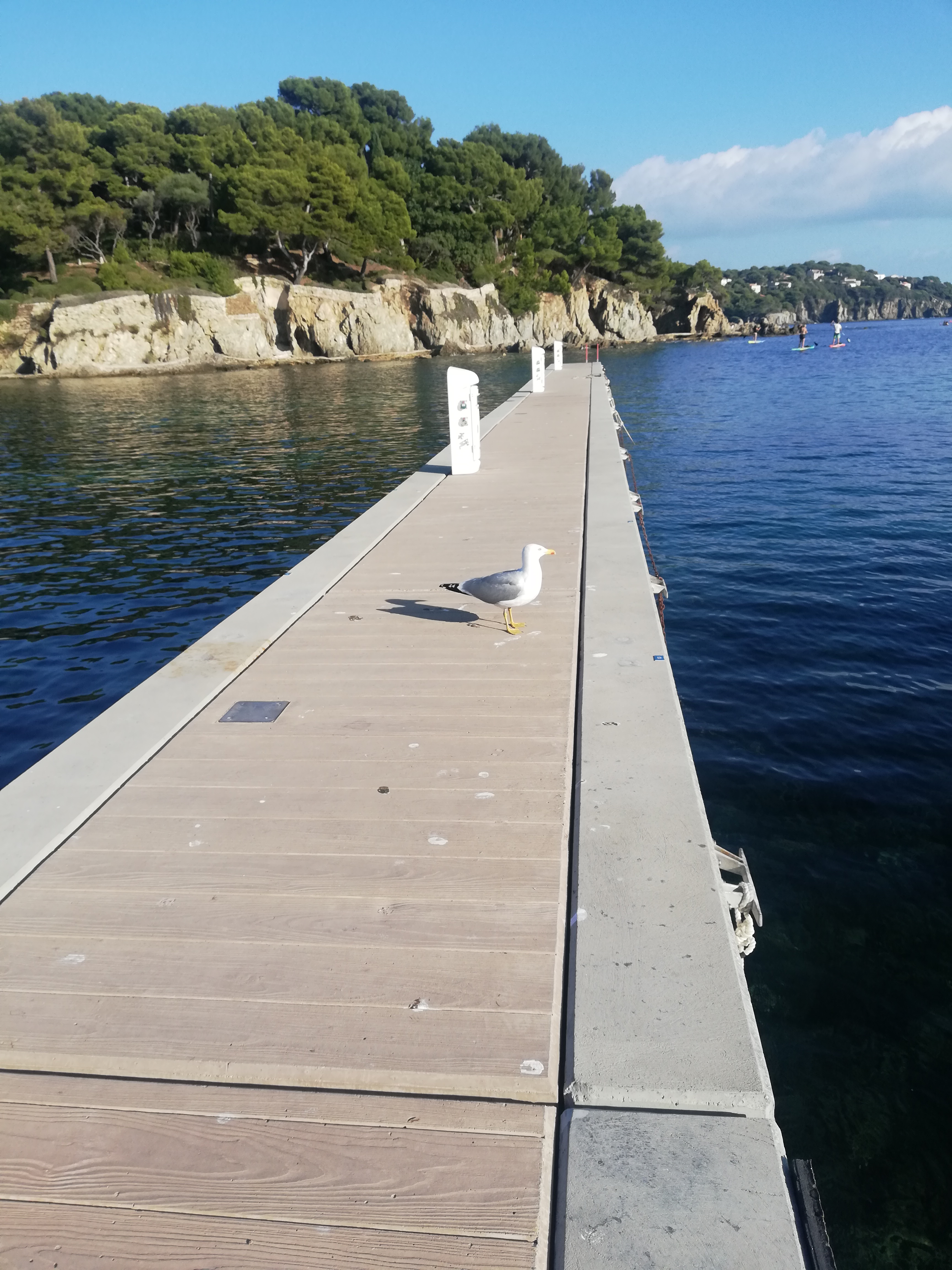 Photo n° 2 de l'avis de Christelle.E fait le 26/10/2021 à 17:56