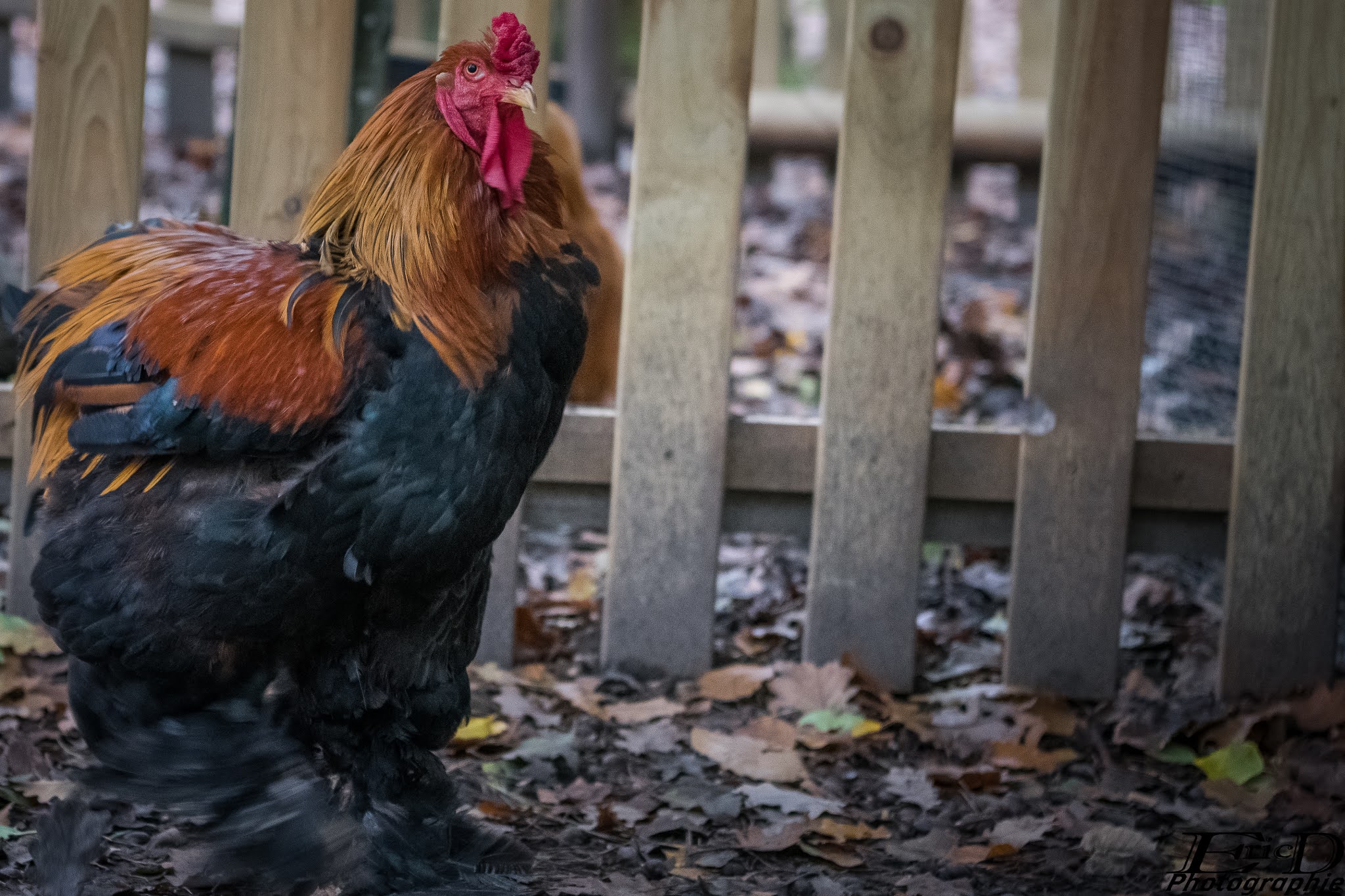 Photo n° 8 de l'avis de Ricou.H fait le 28/10/2020 à 16:42