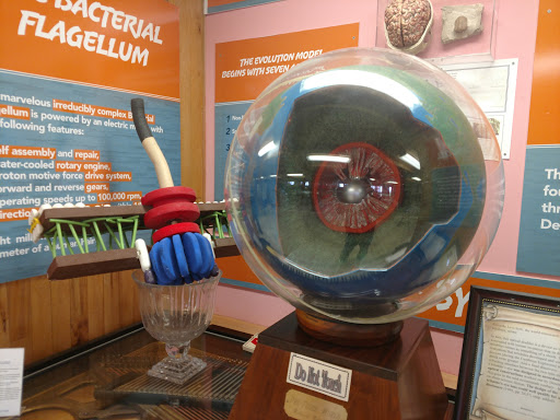 Museum «Creation Evidence Museum», reviews and photos, 3102 FM 205, Glen Rose, TX 76043, USA