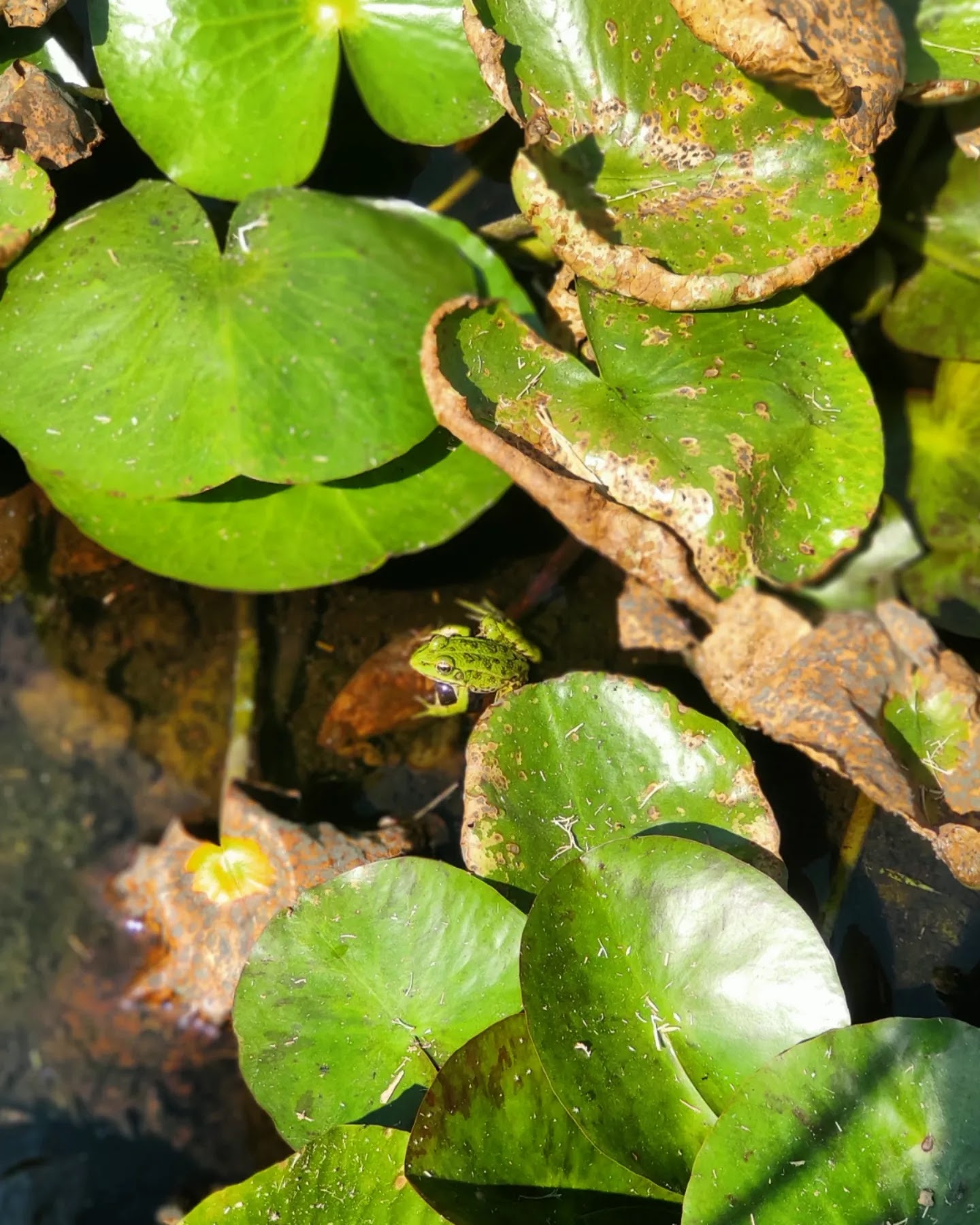 Photo n° 3 de l'avis de Tetyana.m fait le 23/08/2023 à 18:12
