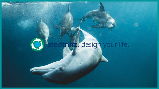 stedtnitz design your life GmbH