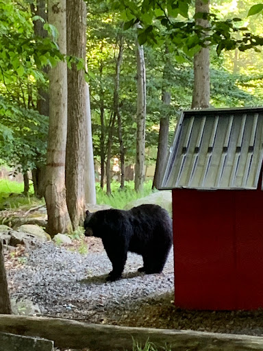 Real Estate Developer «Eagle Lake Community Association», reviews and photos, 15 A M Hughes Blvd, Gouldsboro, PA 18424, USA