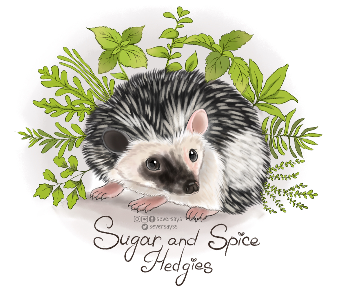 Sugar And Spice Hedgies