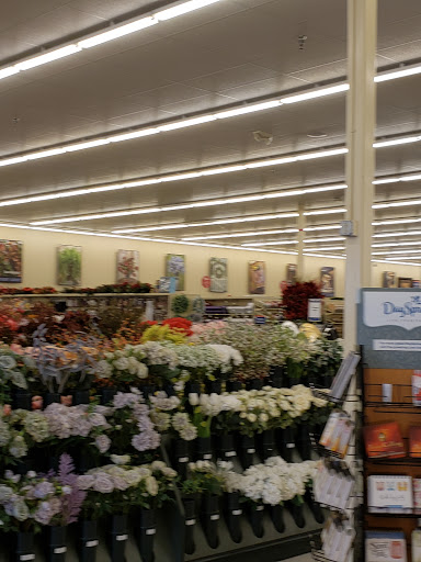 Craft Store «Hobby Lobby», reviews and photos, 1560 Military Rd, Niagara Falls, NY 14304, USA