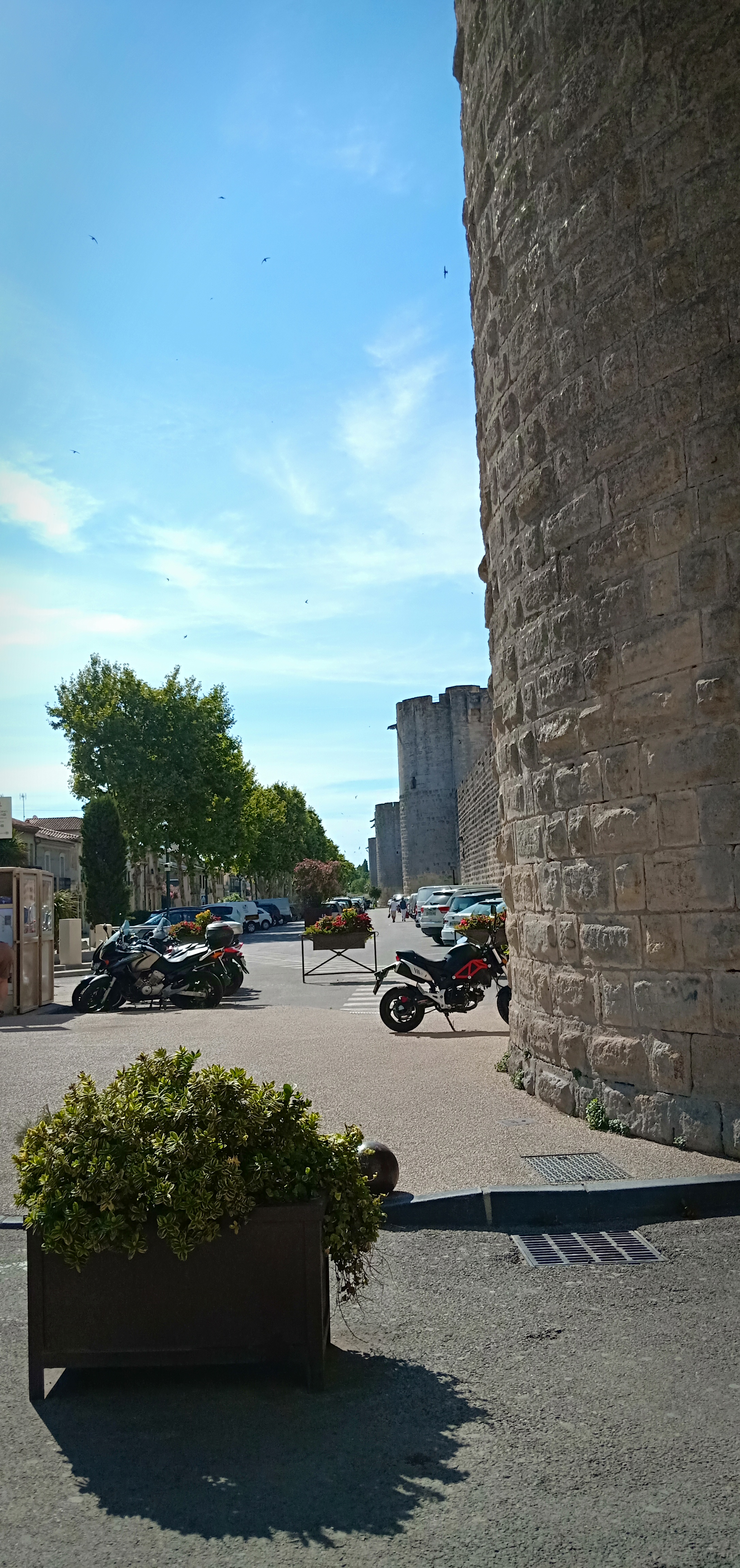 Photo n° 3 de l'avis de Rossella.e fait le 16/07/2019 à 15:25