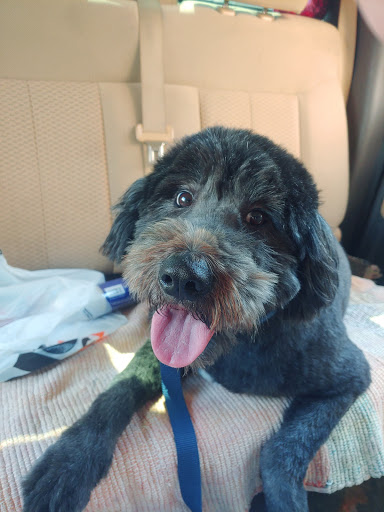 Pet Supply Store «The Dog House», reviews and photos, 4237 S Alameda St, Corpus Christi, TX 78412, USA