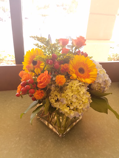 Florist «Ideal Orchids», reviews and photos, 2900 W Sample Rd, Pompano Beach, FL 33073, USA