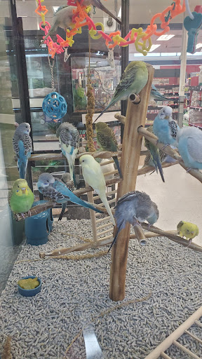Pet Supply Store «Petco Animal Supplies», reviews and photos, 2005 Crow Canyon Pl, San Ramon, CA 94583, USA