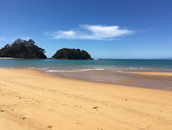 Photo de Kaiteriteri Beach avec un niveau de propreté de assez propre