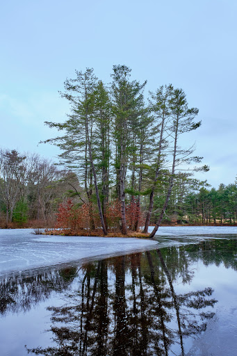 Museum «Dorflinger Glass Museum», reviews and photos, 37 Suydam Dr, White Mills, PA 18473, USA