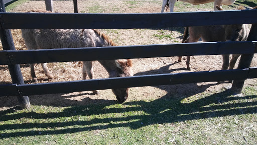 Wedding Venue «Rancho Alegre Farm», reviews and photos, 2225 Givens Rd, Dacula, GA 30019, USA