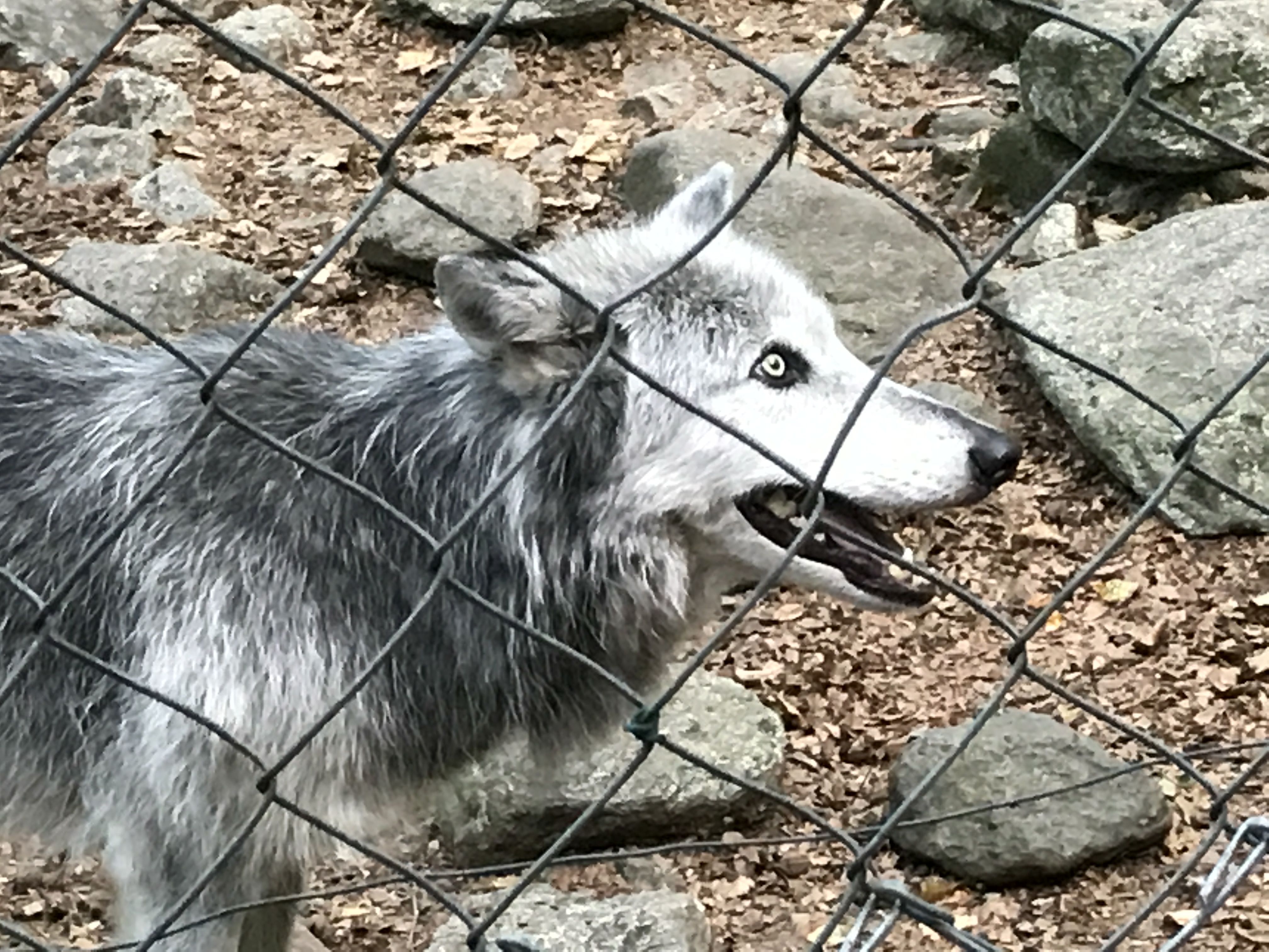 Photo n° 1 de l'avis de jean-luc.o fait le 06/08/2017 à 09:28