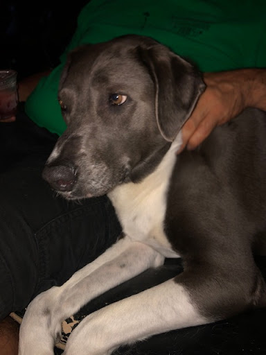 Winery «DUO Winery & Cider Co.», reviews and photos, 2150 Dickinson Ave, Dickinson, TX 77539, USA