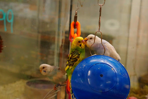 Pet Supply Store «Panhandle Pet Supply», reviews and photos, 3661 N Monroe St, Tallahassee, FL 32303, USA