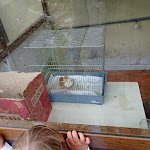 Photo n°1 de l'avis de lorenzo.a fait le 22/05/2021 à 17:44 sur le  La Fattoria à Rome