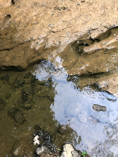 Park «River Legacy Parks East», reviews and photos, 1601 NE Green Oaks Blvd, Arlington, TX 76006, USA