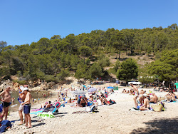 Foto von Calanque De Port D'Alon befindet sich in natürlicher umgebung