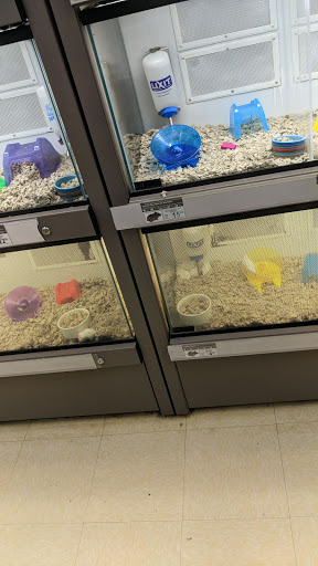 Pet Supply Store «Petco Animal Supplies», reviews and photos, 710 Franklin Ave, Franklin Square, NY 11010, USA