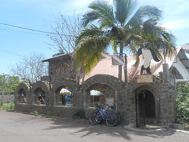 Opiniones de Café Scuba en Puerto Ayora - Cafetería