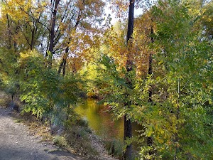 Golden Ponds Park - photo 31