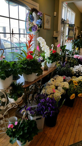 Florist «Agnew Florist-Watertown», reviews and photos, 587 Main St, Watertown, CT 06795, USA