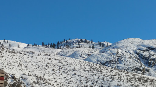 Florist «Chelan Fruit Plant 3», reviews and photos, 80 McNeil Canyon Rd, Orondo, WA 98843, USA