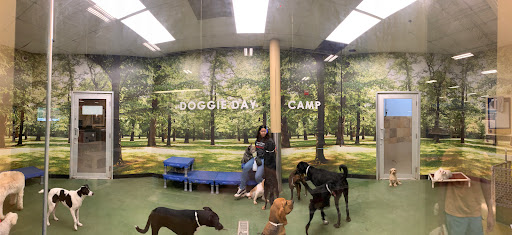 Pet Supply Store «PetSmart», reviews and photos, 5485 Touhy Ave, Skokie, IL 60077, USA