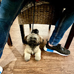 Photo n°8 de l'avis de Li.a fait le 03/10/2023 à 19:16 sur le  Restaurant Scheune in Glücksburg à Glücksburg