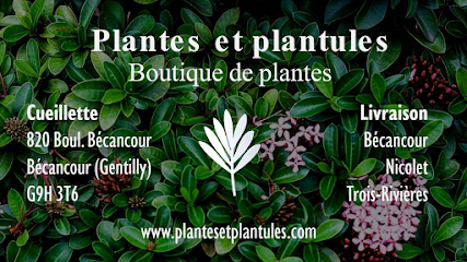 Plantes et plantules