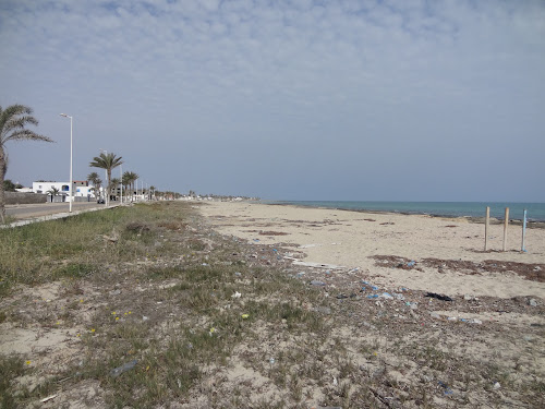Senia beach photo #1