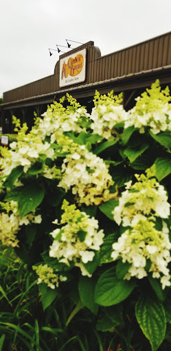 American Restaurant «Cracker Barrel Old Country Store», reviews and photos, 4210 Marlane Dr, Grove City, OH 43123, USA