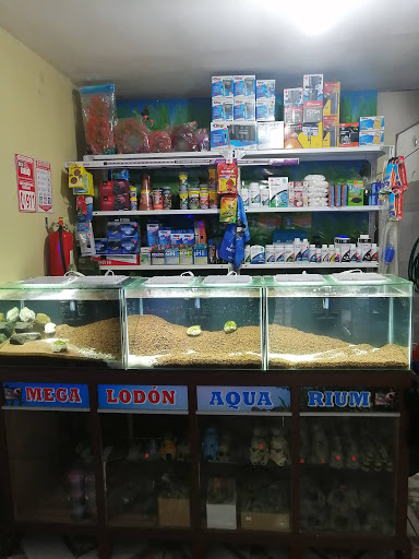 Megalodón Aquarium & Pets
