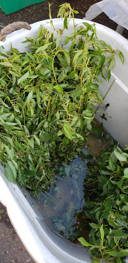 Shopping Mall «Uni-Dale Mall», reviews and photos, 608 University Ave W, St Paul, MN 55103, USA