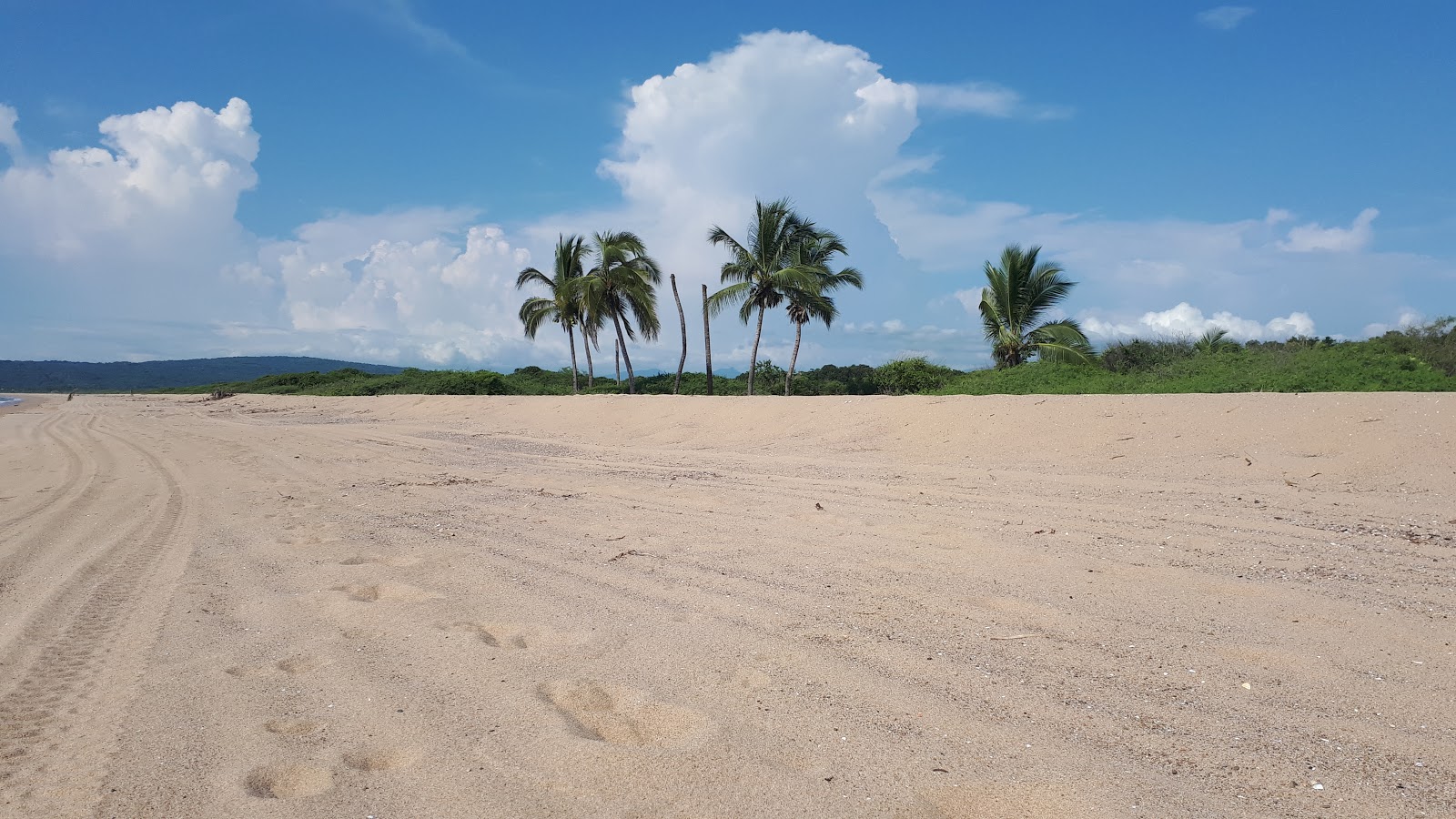 Zdjęcie El Naranjo beach II z proste i długie
